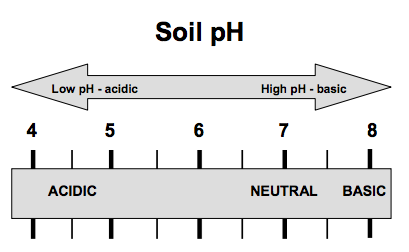 Soil pH scale: Low pH (less than 7) is acidic and high pH (more than 7) is basic.